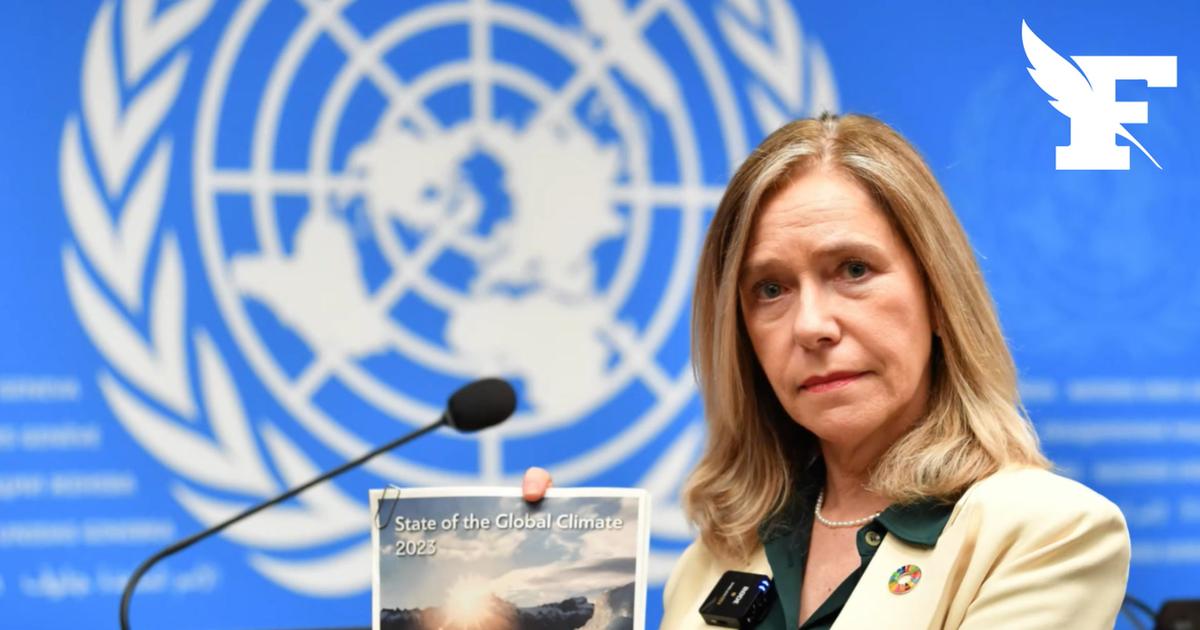 Une étude scientifique révèle les conséquences du réchauffement climatique sur les oiseaux marins