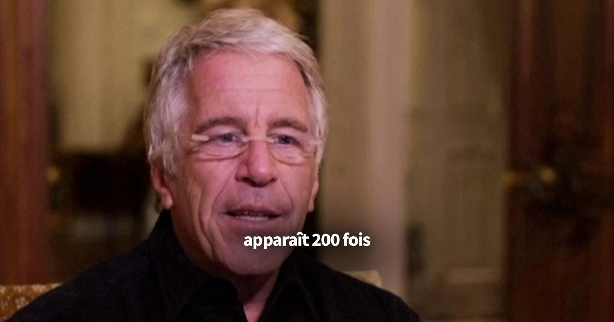 «Epstein Files» : les troublants liens entre Jeffrey Epstein et le diplomate français Fabrice Aidan