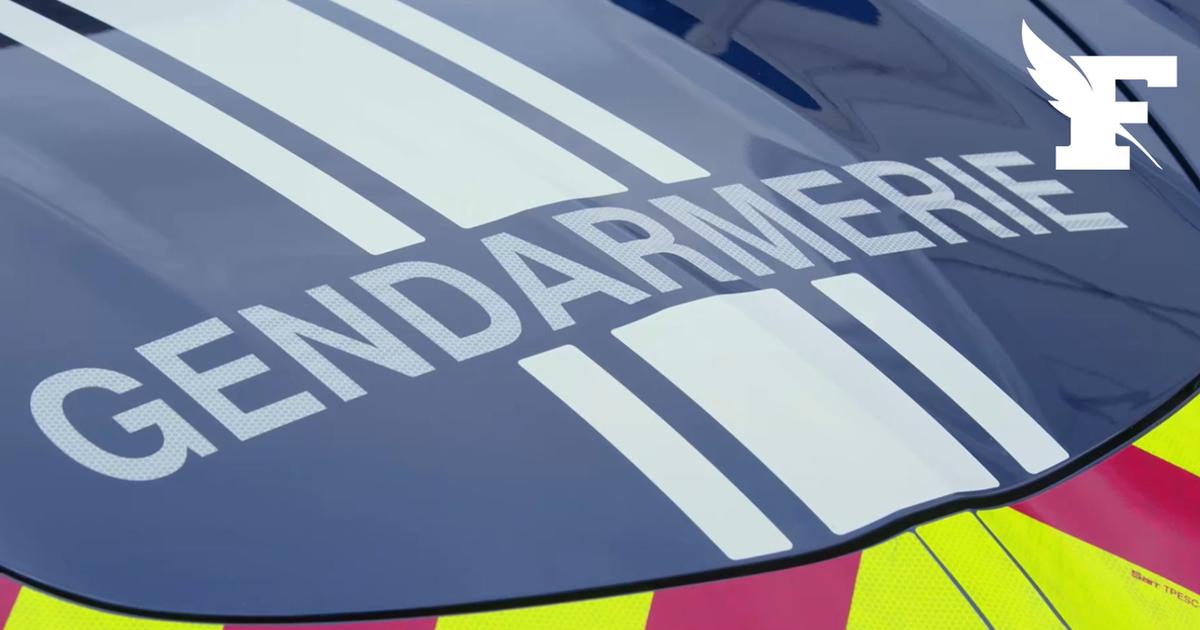 Vosges : un homme mis en examen pour avoir volontairement percuté une voiture de gendarmerie