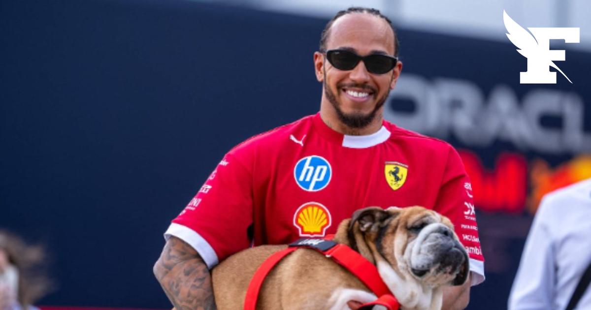Â«Repose en paix, RoscoeÂ»: la formule 1 adresse ses condolÃ©ances Ã  Lewis Hamilton...