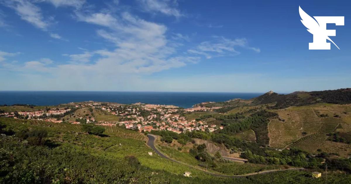 «Pyrénées-Orientales, Pyrénées Catalanes ou Pyrénées Méditerranée»: pourquoi le département pourrait changer de nom ?