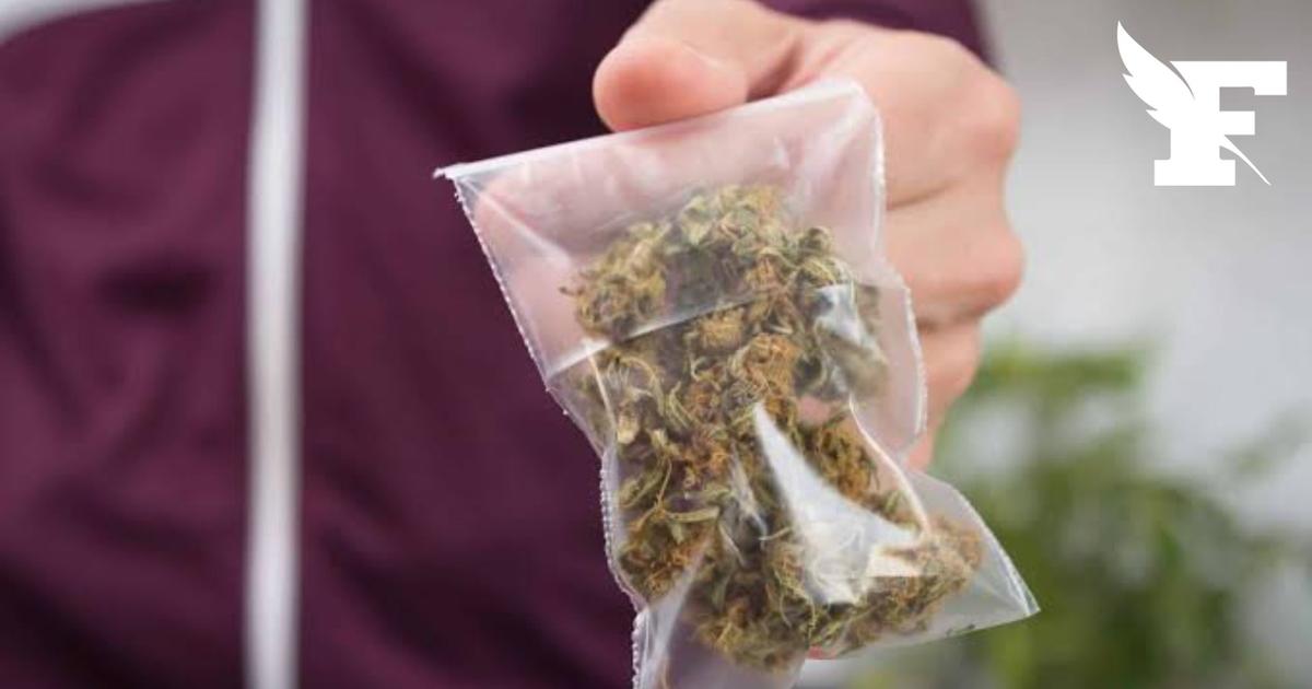 Nantes : à la recherche d'un portable volé, la police découvre une cache de drogue de synthèse