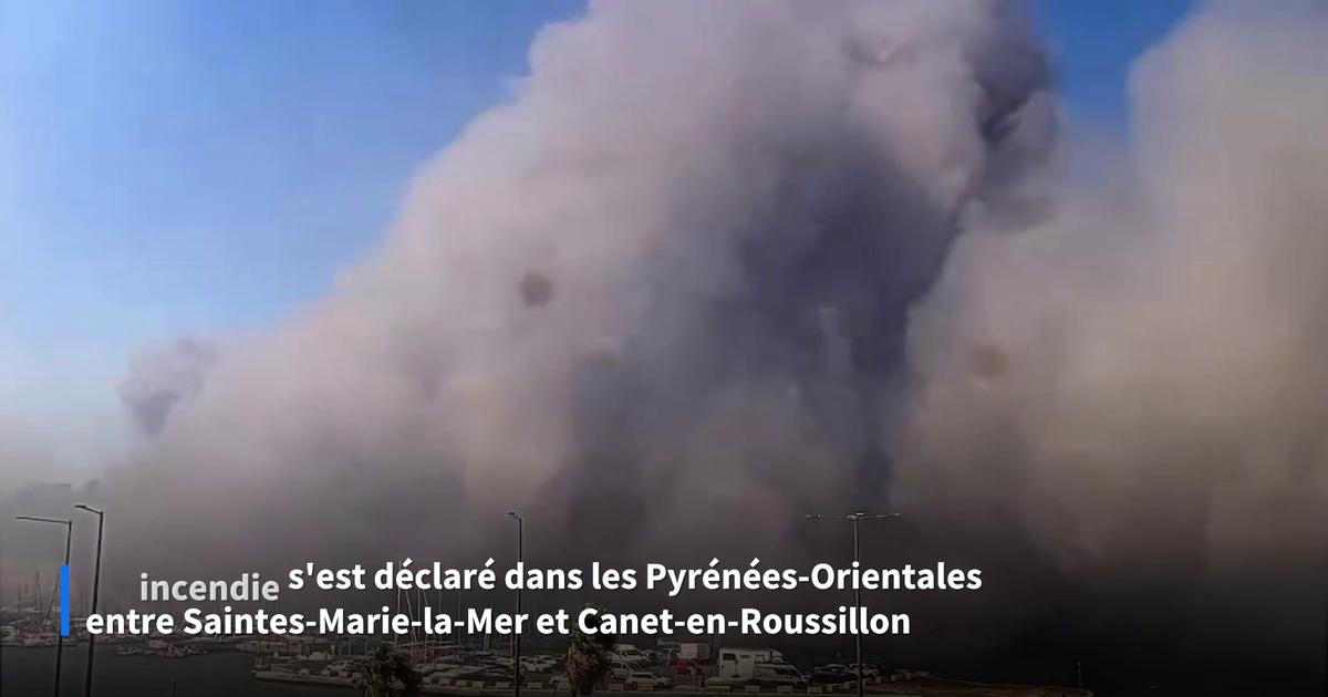 Les images des fumées dégagées par l'incendie dévastateur à Canet-en-Roussillon