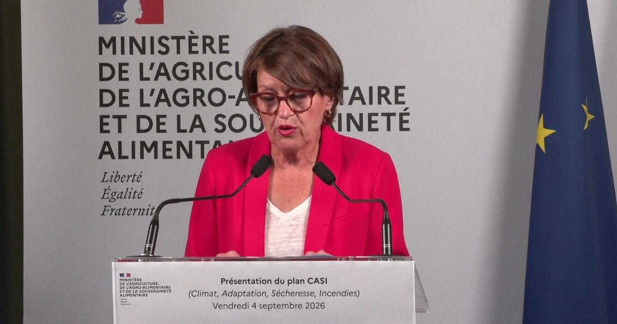Sur le sujet de l'eau, «la question du stockage de substition est tranchée par les faits», insiste Annie Genevard