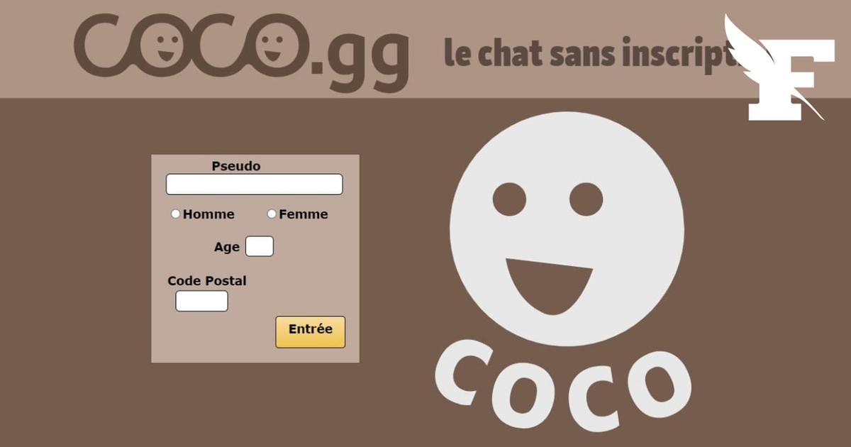 Pédocriminalité : 178 utilisateurs du site internet Coco interpellés en France