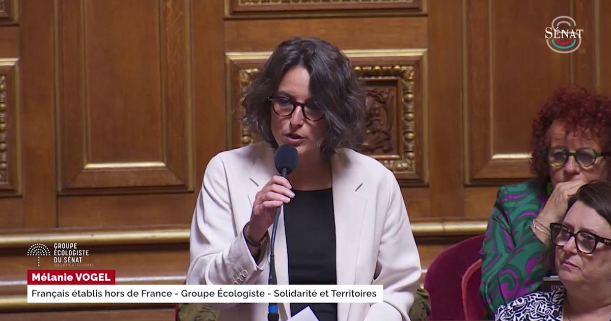 «Le meurtre» et «la violence» sont un problème d’hommes, avance la sénatrice Mélanie Vogel
