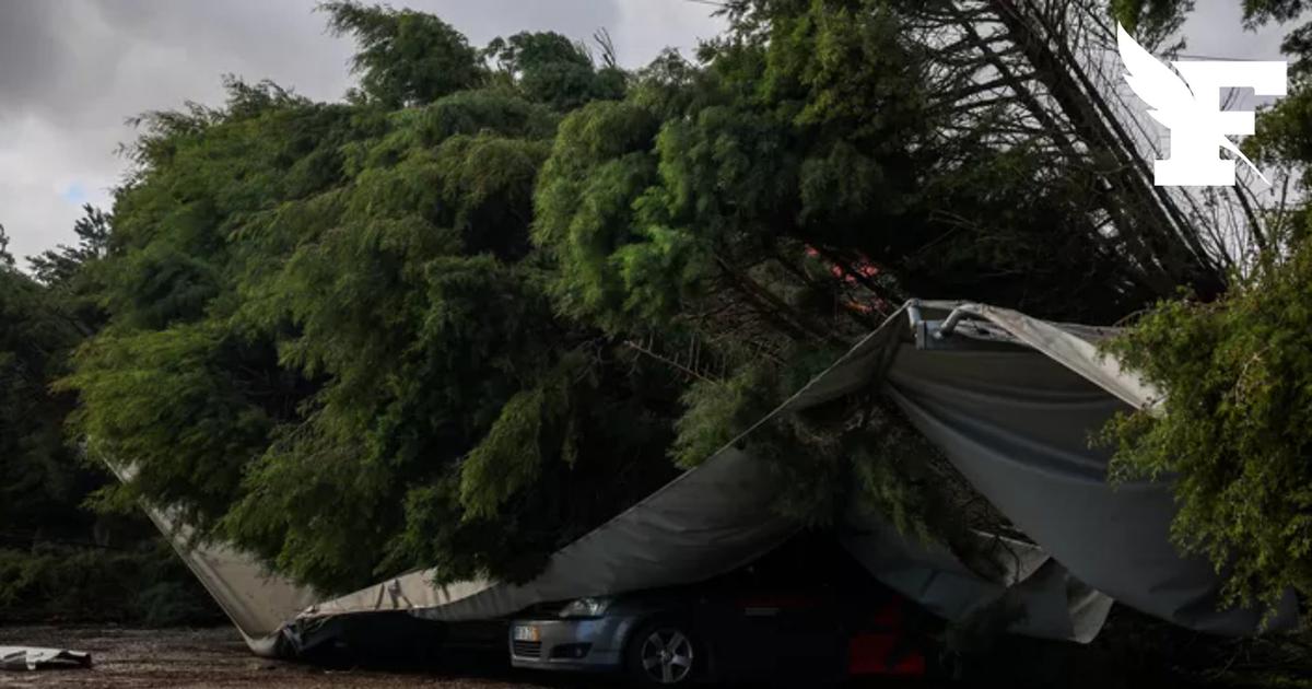 Les images de la tempête Leonoardo, qui provoque la mise à l'arrêt de l'Andalousie