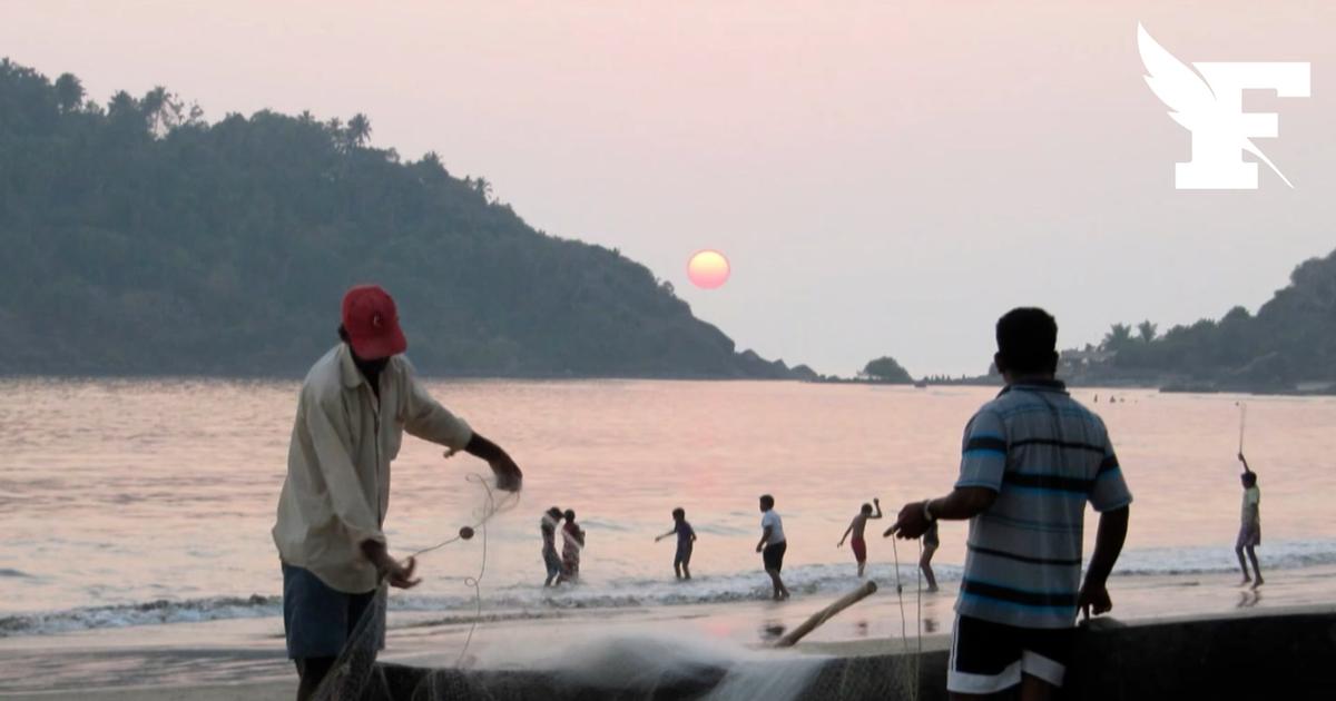 Goa envisage l'interdiction des réseaux sociaux aux moins de 16 ans