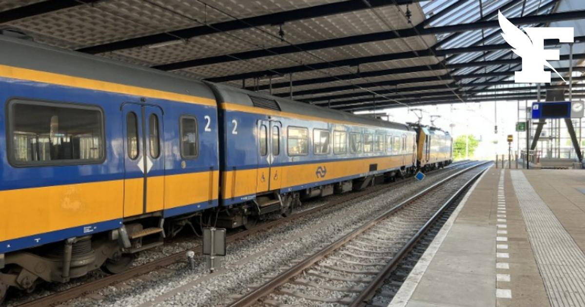 Pays-Bas: la circulation des trains paralysée après la découverte de tubes attachés à des voies ferroviaires