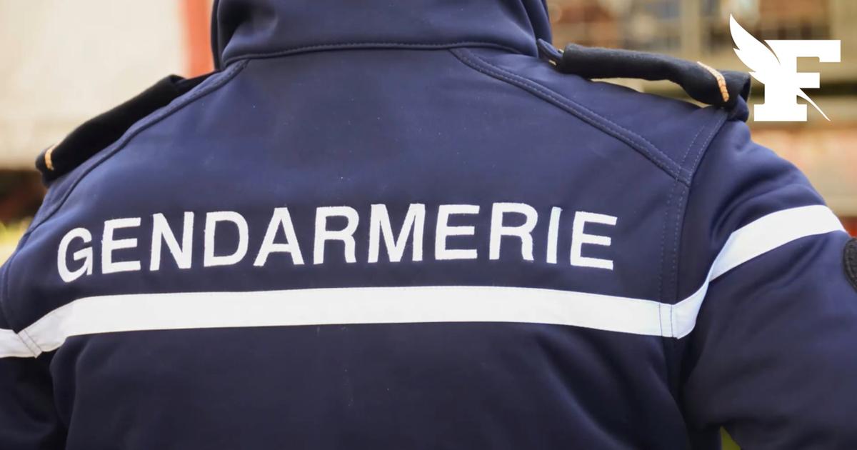 Vienne: un homme interpellé après la découverte du corps de deux femmes