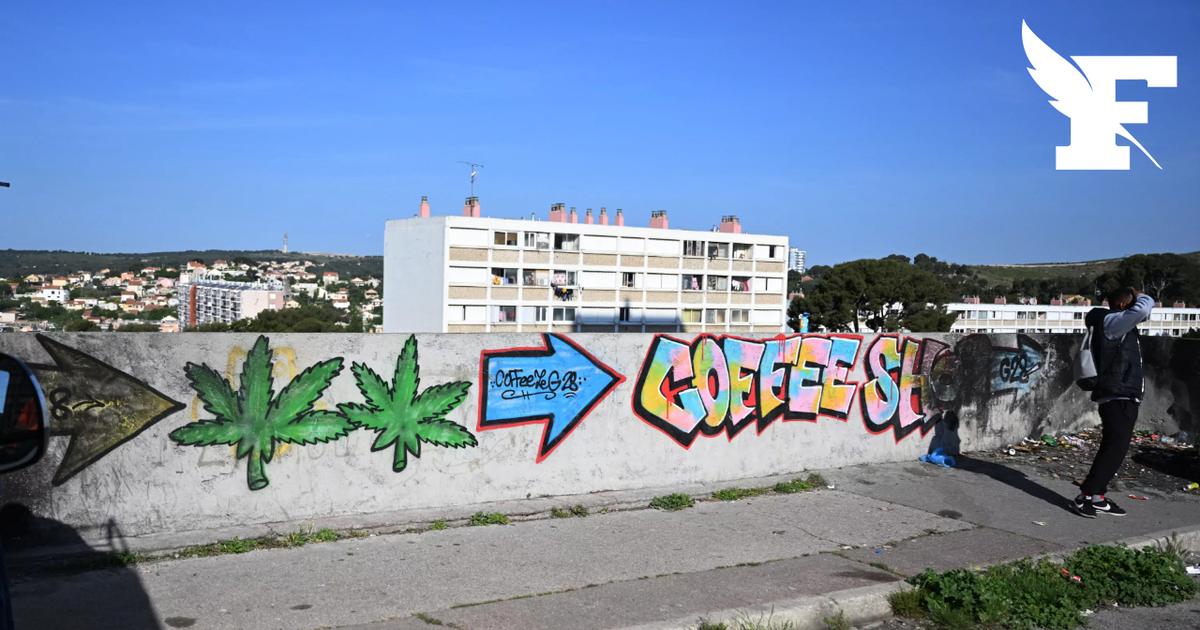 Trafic de drogue: suivez la conférence de presse du procureur de Marseille