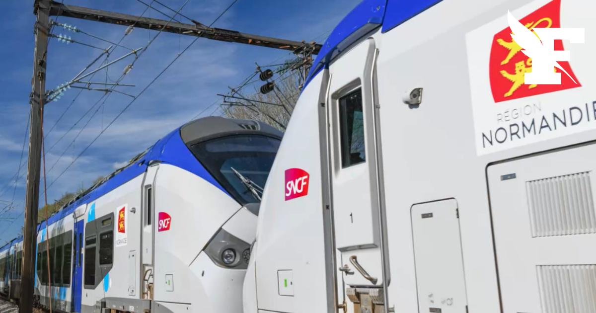 Coups de poing et de pied, couteau... Un adolescent placé en garde à vue après avoir agressé un agent SNCF