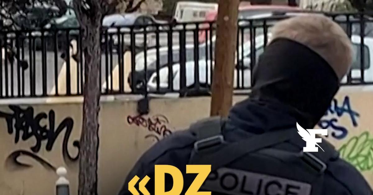 Quand les cartels mexicains inspirent les narcotrafiquants à Marseille