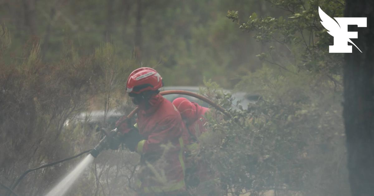 Incendie en Gironde : le mégafeu stabilisé mais l'alerte reste maximale