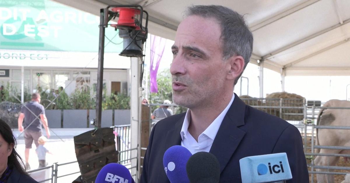 L'immigration zéro est «la mort de l’économie française», estime Raphaël Glucksmann