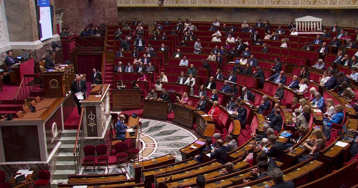 Réseaux sociaux interdits aux moins de 15 ans : le Parlement adopte la loi, une première en Europe