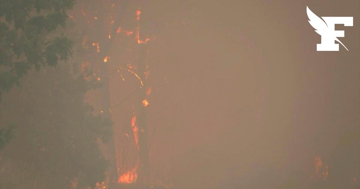 «La situation est défavorable»: les images de l'important incendie qui décime des milliers d'hectares à Lège-Cap-Ferret