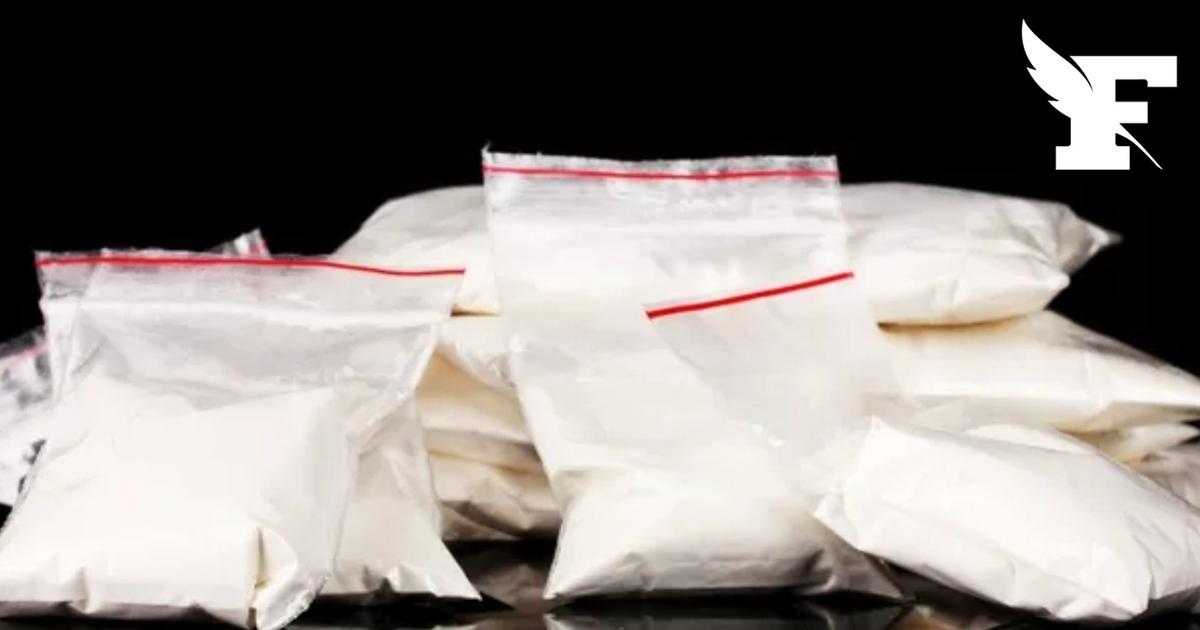 Loiret : 241 kg de cocaïne trouvés dans un camion par la douane sur l'A10