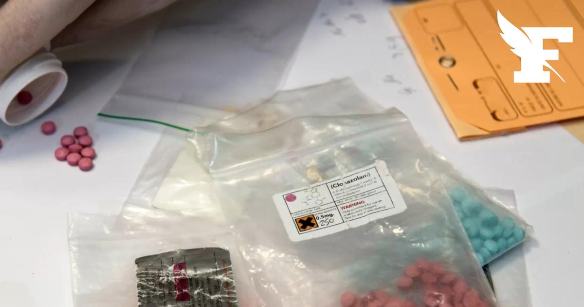 Lyon : un réseau de blanchiment d'argent de la drogue démantelé