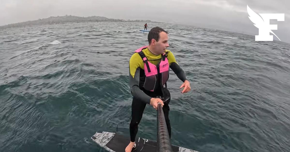 « Ne tombe pas ! » : un homme poursuivi par un requin de 3,35 mètres en Californie