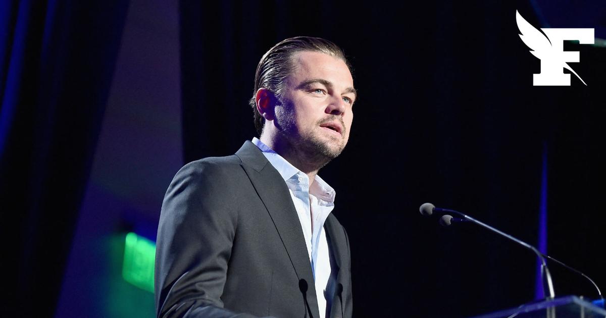 Qu'est-ce que Phoenix Species, le nouveau partenariat entre Leonardo DiCaprio et Jeff Bezos pour sauver les espèces menacées ?