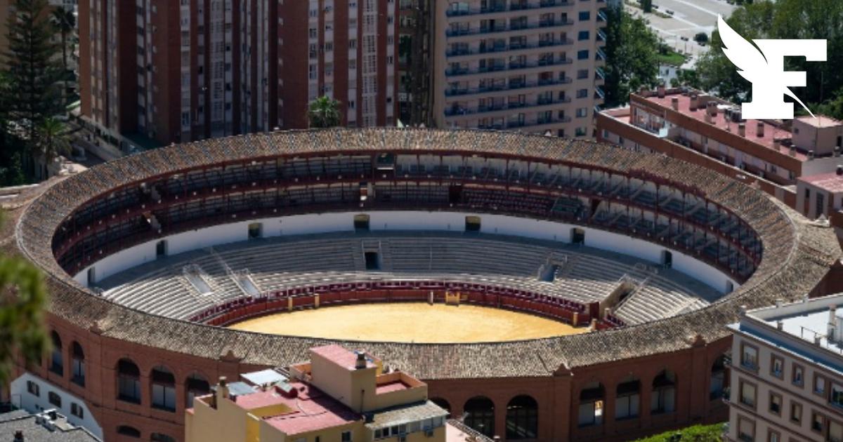 Un matador à la retraite meurt encorné par un taureau en préparant une corrida en Espagne