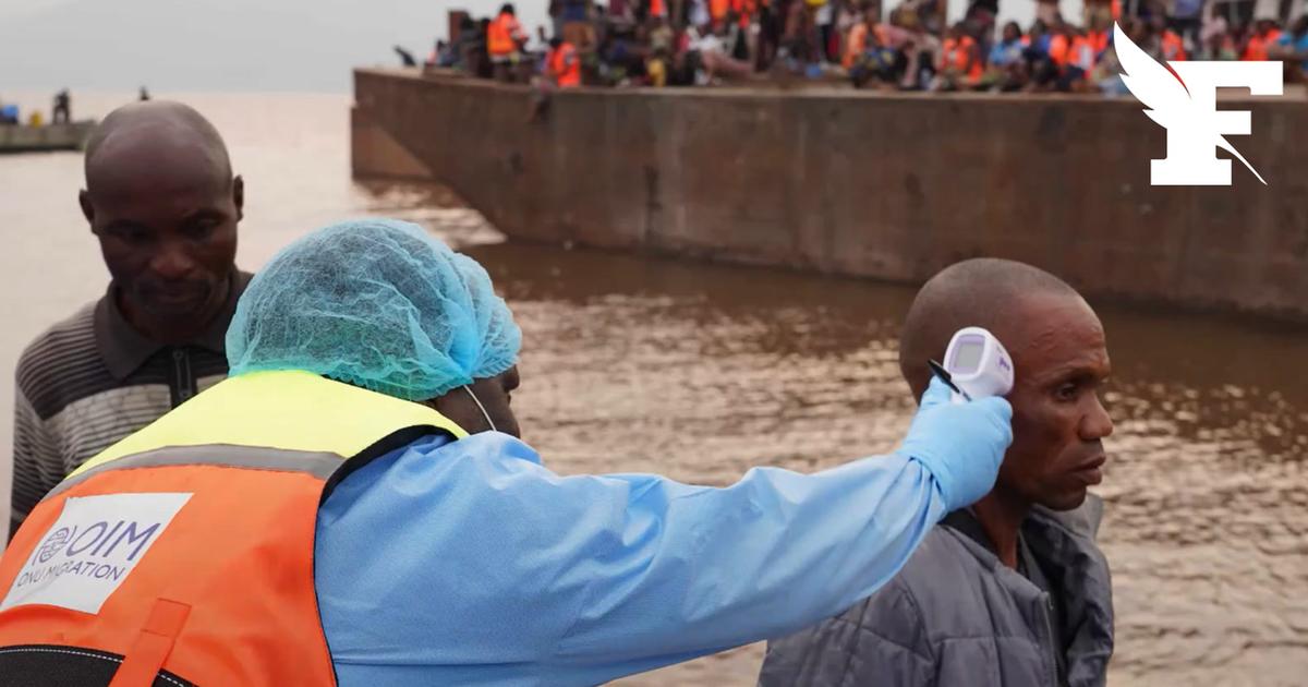 RDC : 2300 décès recensés, aucun vaccin ni traitement… Le pays fait face à l'épidémie d’Ebola la plus meurtrière