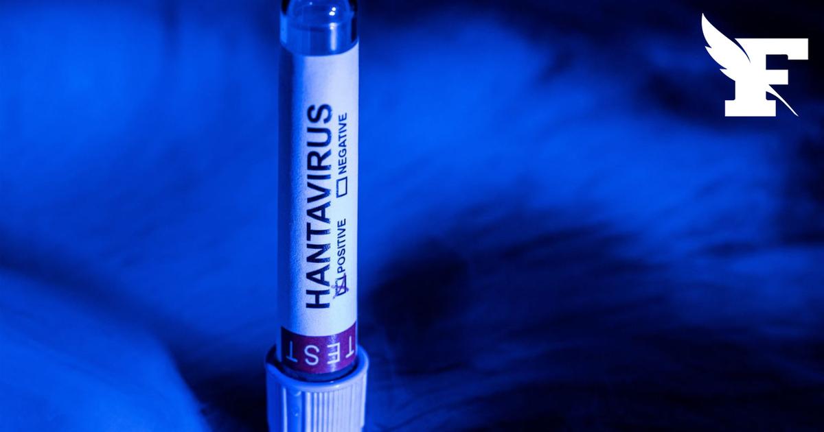 Hantavirus : un touriste passé par la France lors d'un «voyage touristique» a été testé positif