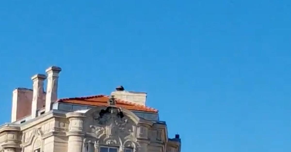 31 octobre: une piñata à l’effigie d’Emmanuel Macron massacrée lors de la manifestation de Bordeaux