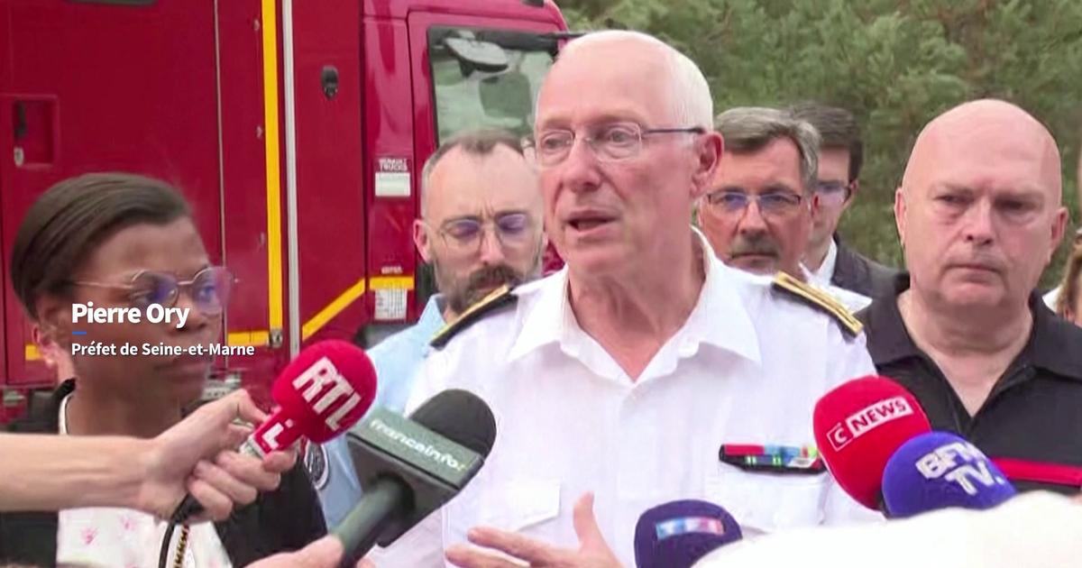 Incendies en forêt de Fontainebleau: les deux feux sont «fixés», selon le préfet