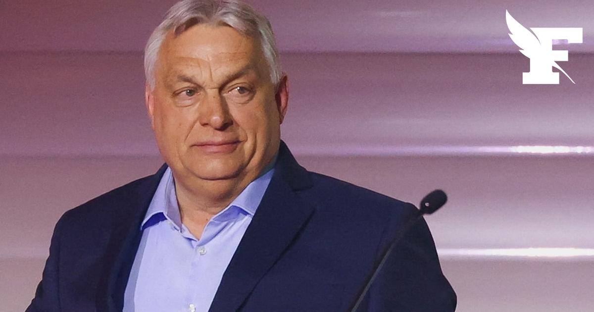 Hongrie: Viktor Orban admet une défaite «douloureuse» aux élections législatives