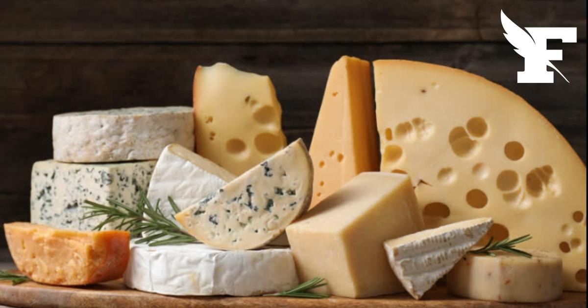Italie : un adolescent ayant mangé un fromage au lait cru contaminé meurt après 9 ans dans le coma
