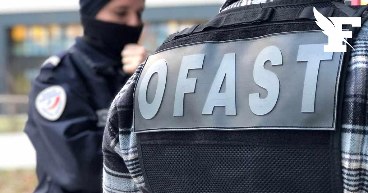 Trafic de drogues : saisie record de 529 kg de cocaïne sur l'autoroute A6