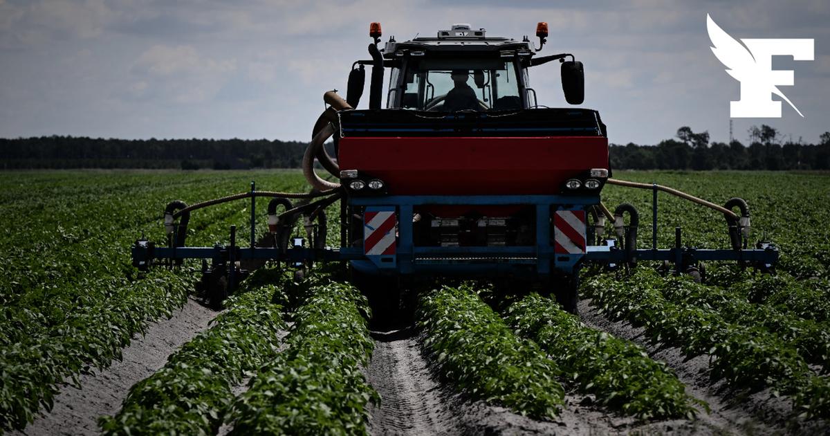 Plus de 1.000 demandes pour le fonds d'indemnisation des victimes de pesticides en 2025, un chiffre en hausse de 6,8 %