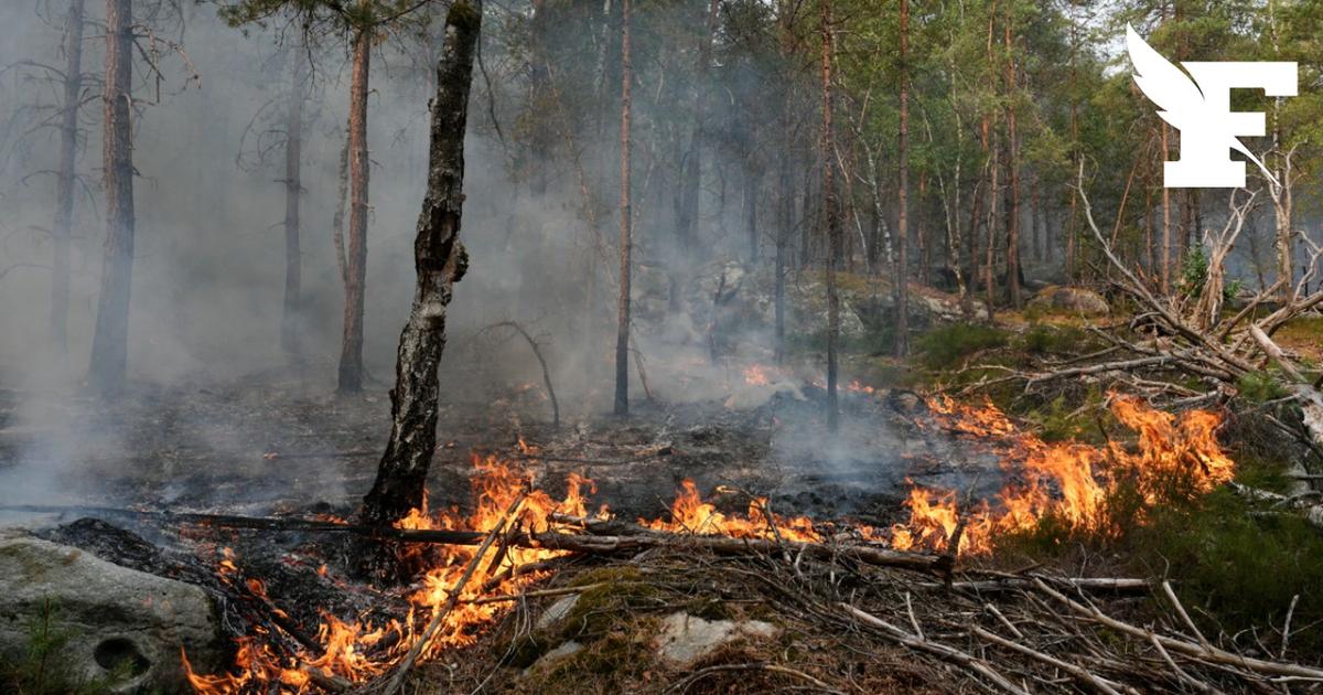 Incendie de Fontainebleau : les deux suspects sont traduits devant la justice
