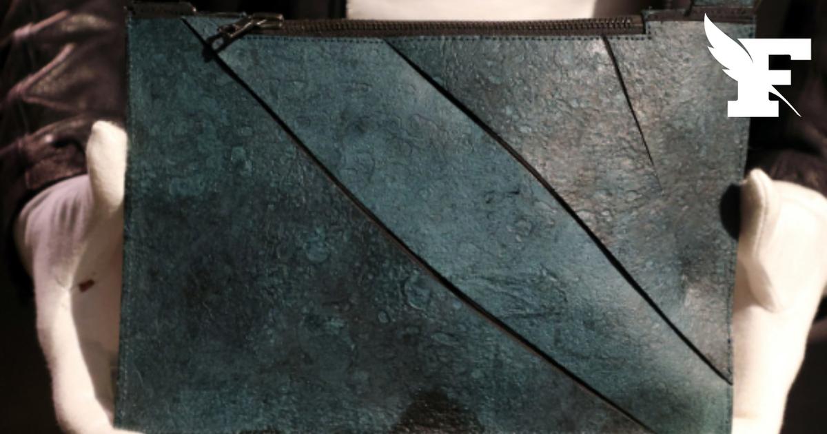 Un sac reconstitué à partir de cellules de T-Rex vendu à seulement 150.000 euros