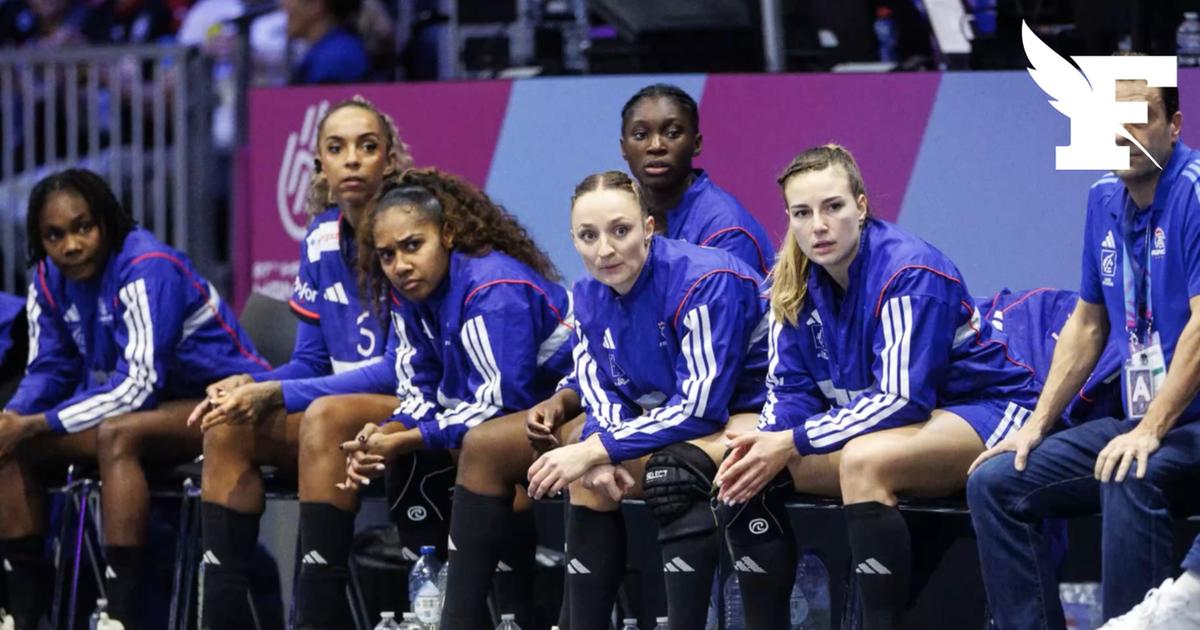 Handball: les FranÃ§aises s'inclinent en demi-finale du championnat du Monde face Ã  l'Allemagne