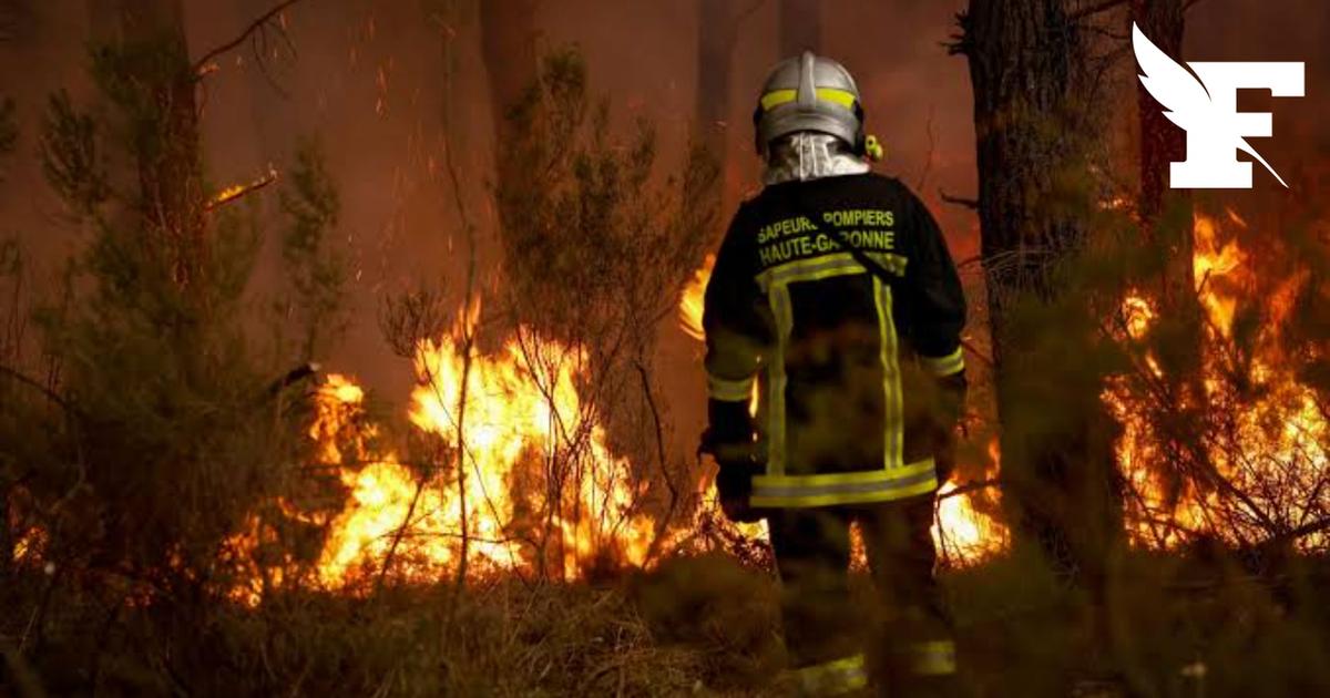 «Ne nous appelez plus héros» : les pompiers réclament des moyens à l'État
