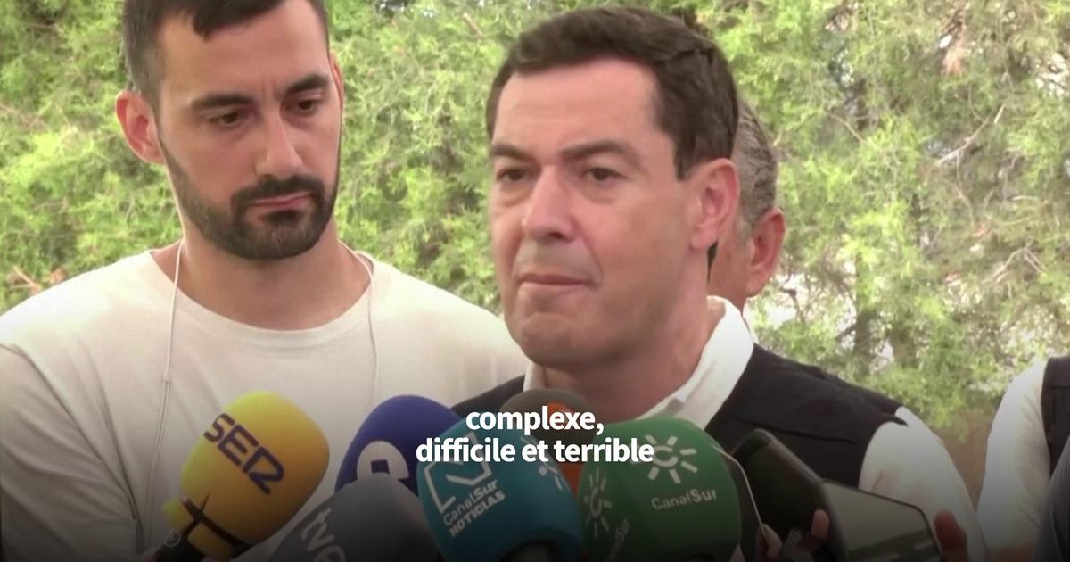 L'incendie qui a fait 12 morts dans le sud de l'Espagne est «stabilisé», annonce le président de la région d'Andalousie