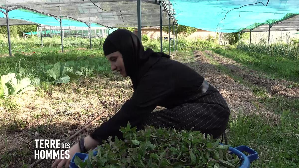 Monastères et agriculture: A Solan, des religieuses redonnent de la vie aux  sols