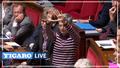Sandrine Rousseau brandit un «vagin» féministe à l'Assemblée nationale