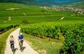 À la découverte des vignobles d’Alsace à vélo