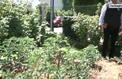 Jardinez-vous ! : un jardin sans pesticides