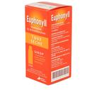 Euphonyll ts d s/s ad 15mg/5ml