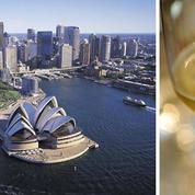 L'australien Treasury rachète les actifs américains et britanniques de Diageo