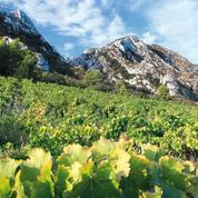 Sur la route des vins d'été : 3 escales viticoles à 1h d’Aix-en-Provence