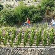 Sur la route des vins d'été : escapade dans les vignes au sud de Lyon