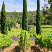 Au Château La Calisse, la Provence se décline en blanc