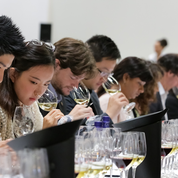 Les étudiants chinois viennent percer les secrets du vin de Bourgogne