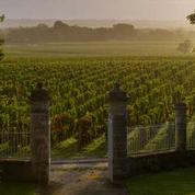 Vendanges de Bordeaux: qualité mais quantité réduite par la grêle et le mildiou